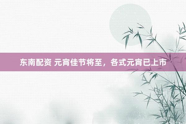 东南配资 元宵佳节将至，各式元宵已上市