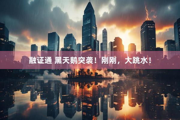 融证通 黑天鹅突袭！刚刚，大跳水！