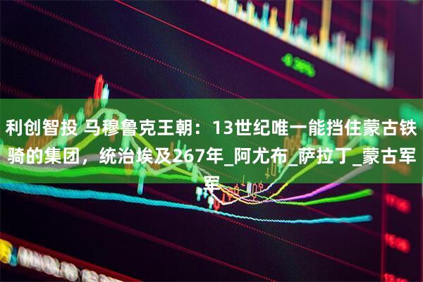 利创智投 马穆鲁克王朝：13世纪唯一能挡住蒙古铁骑的集团，统治埃及267年_阿尤布_萨拉丁_蒙古军