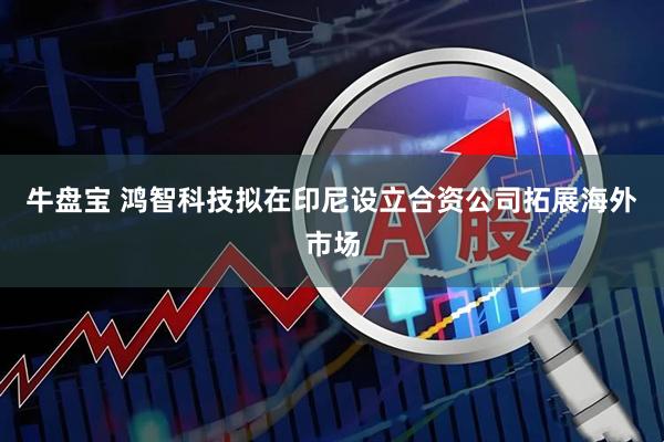 牛盘宝 鸿智科技拟在印尼设立合资公司拓展海外市场