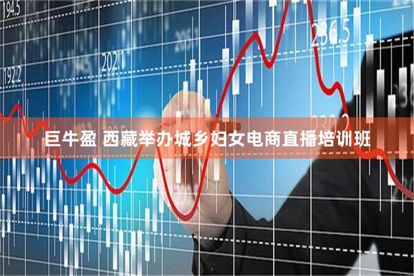 巨牛盈 西藏举办城乡妇女电商直播培训班
