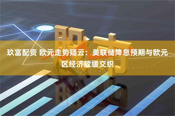 玖富配资 欧元走势疑云：美联储降息预期与欧元区经济放缓交织