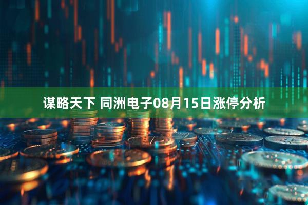 谋略天下 同洲电子08月15日涨停分析