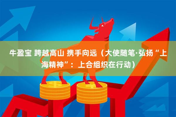 牛盈宝 跨越高山 携手向远（大使随笔·弘扬“上海精神”：上合组织在行动）